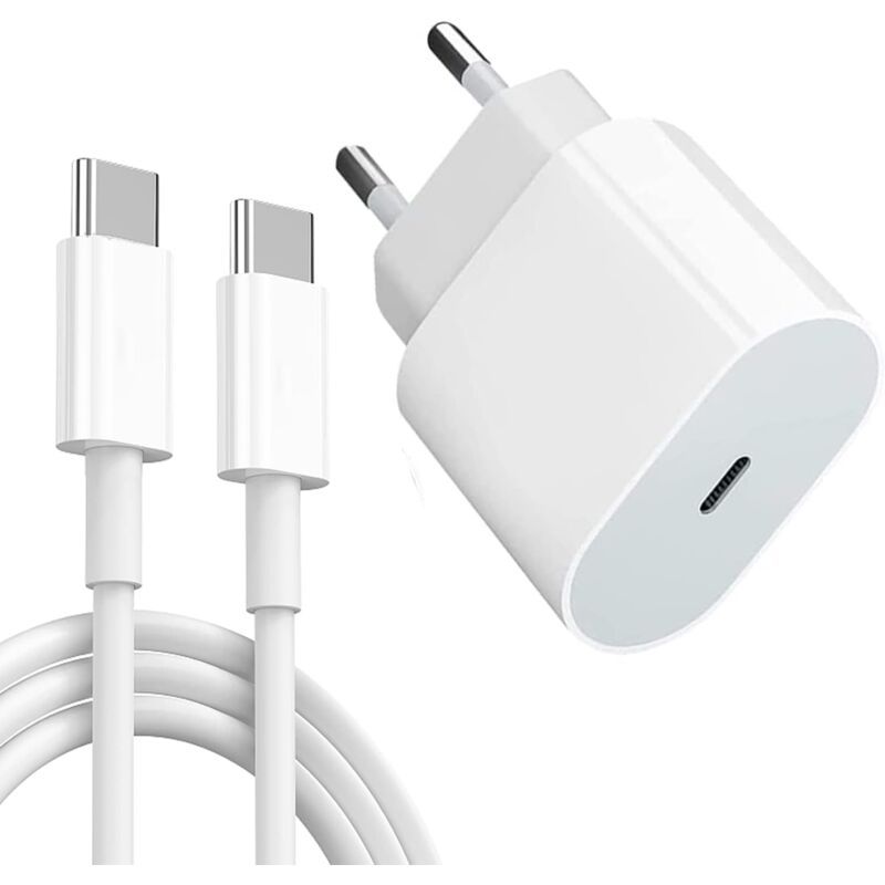 20W USB C Charger with Type C Cable Compatible with iPad Pro iPad Air iPad Mini 6 and Galaxy S21 S20 S10, 2 m 12.9 11 inch