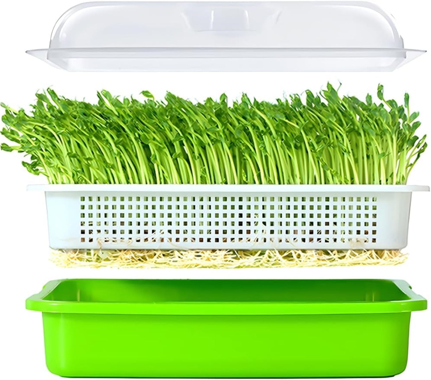 12.8x9.5x1.6 In Green Seed Sprouting Tray with Drain Holes,Microgreens Growing Trays,Growing Trays,seed Germination Propagation Trays for Garden,Home,Office