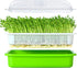 12.8x9.5x1.6 In Green Seed Sprouting Tray with Drain Holes,Microgreens Growing Trays,Growing Trays,seed Germination Propagation Trays for Garden,Home,Office