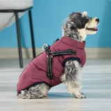 Warm Dog Jacket, Snowproof Windproof Waterproof Dog Winter Coat for Cold Weather - Soft Fleece Lining and Warm Thick Padded Dog Snow Coat for Puppy Small Medium Large Dogs XXL green, navy blue, red, purple, black