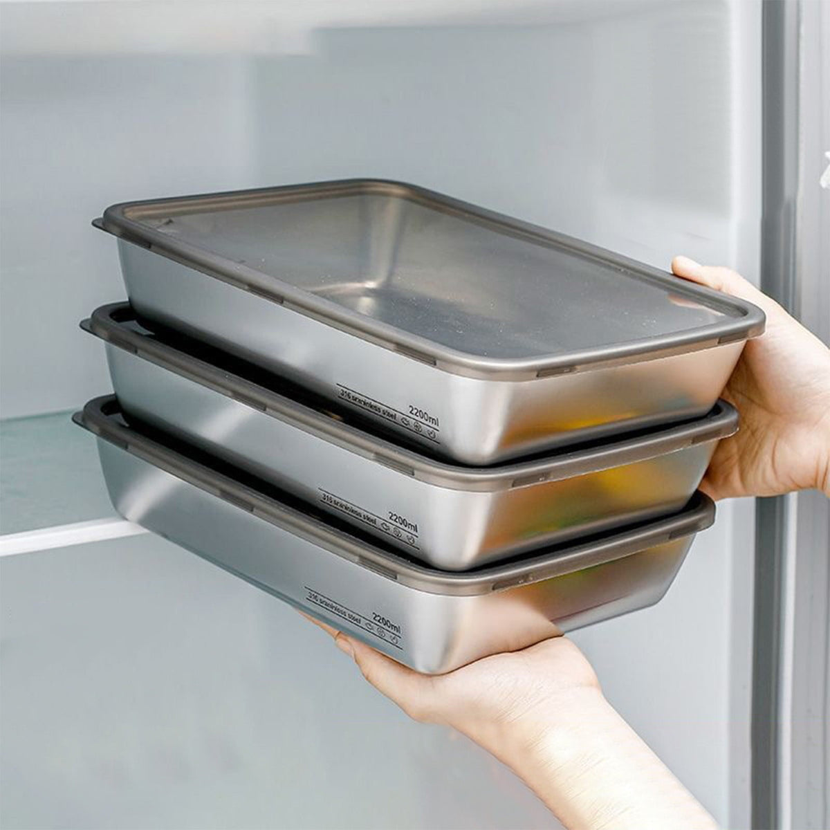 Large Stainless Steel Food Containers, Stainless Steel Dumpling Box, Rectangle Food Storage Box, Leak Proof Plastic Lid, Airtight Meat Storage Container, for Fridge, Kitchen, Dishwasher Safe Silver