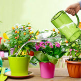 Plants Watering Jug, Portable Flower Mister, 1L Long Neck Sprinkler, Gardening Can, Household Gardening Watering Pot, for Indoor Herbs Vegetables Bonsai Balcony Plants, Outdoor Watering Container Gray