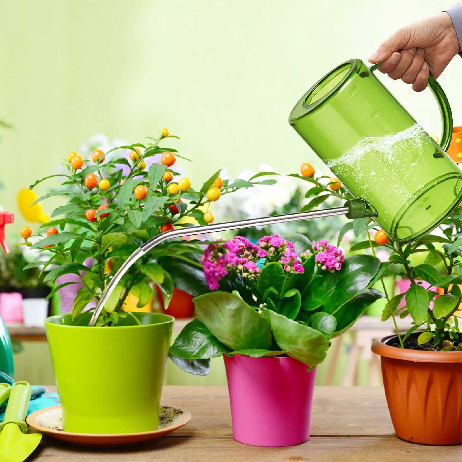 Plants Watering Jug, Portable Flower Mister, 1L Long Neck Sprinkler, Gardening Can, Household Gardening Watering Pot, for Indoor Herbs Vegetables Bonsai Balcony Plants, Outdoor Watering Container Green