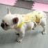 opvise Pet Sanitary Pants Adjustable Band Menstruation Shorts Washable Dog Diaper Pet Physiological Pants for Indoor Yellow S Pink
