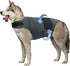 Dog Jacket, Skin-Friendly Dog Calming Vest - Dog Shirt for Thunder, Fireworks and Separation - Keep Pet Calm Without Medicine & Training, Anti Anxiety Vest for Dogs L Gray