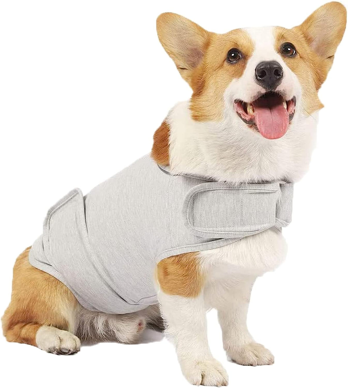 Dog Jacket, Skin-Friendly Dog Calming Vest - Dog Shirt for Thunder, Fireworks and Separation - Keep Pet Calm Without Medicine & Training, Anti Anxiety Vest for Dogs XS Light Grey