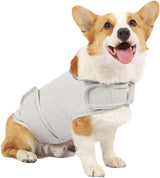 Dog Jacket, Skin-Friendly Dog Calming Vest - Dog Shirt for Thunder, Fireworks and Separation - Keep Pet Calm Without Medicine & Training, Anti Anxiety Vest for Dogs 2XL Light Grey