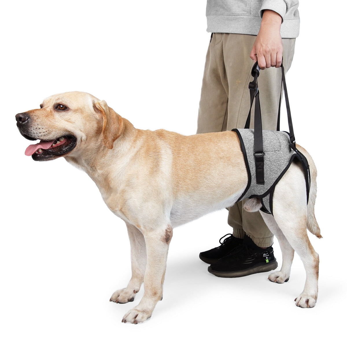 Dog Sling for Large Dogs Hind Leg Adjustable Dog Lift Harnesses For Walking/Climbing Pet Auxiliary Slings for Elderly, Disabled Dogs S