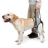 Dog Sling for Large Dogs Hind Leg Adjustable Dog Lift Harnesses For Walking/Climbing Pet Auxiliary Slings for Elderly, Disabled Dogs S