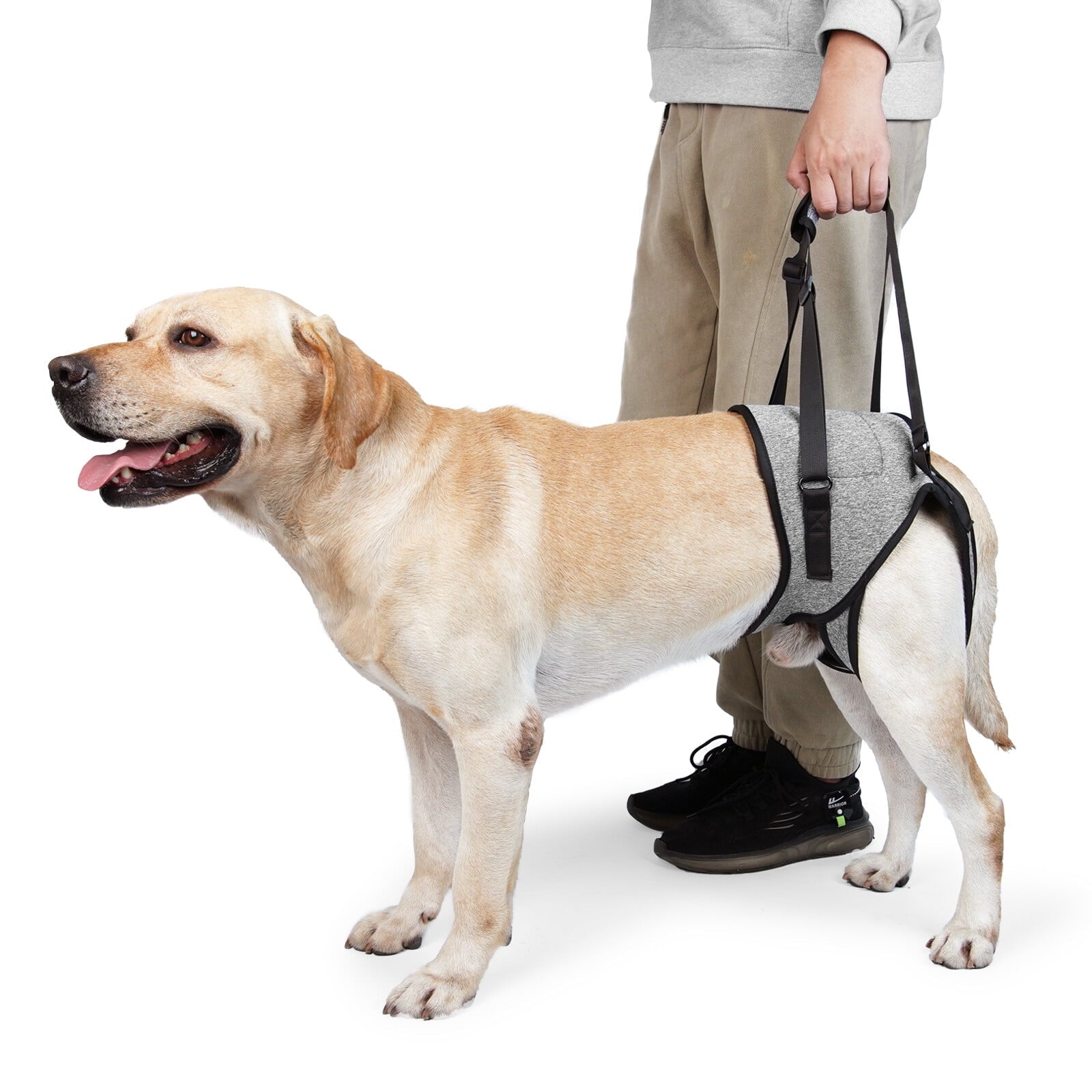 Dog Sling for Large Dogs Hind Leg Adjustable Dog Lift Harnesses For Walking/Climbing Pet Auxiliary Slings for Elderly, Disabled Dogs M