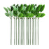 HOOWIFFY 30 Pcs Green Rose Stems with Leaves Floral Wire for Flower Arrangement and Craft Decoration