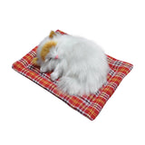 Tarmeek Simulation Sleeping Cat Dolls Toys,Simulation Cat Plush Animals Toy Will Call With Cloth Mat Sleeping Cat Doll Plush Toy for Room Decor,Birthday Gifts for Kids F