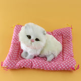 Tarmeek Simulation Sleeping Cat Dolls Toys,Simulation Cat Plush Animals Toy Will Call With Cloth Mat Sleeping Cat Doll Plush Toy for Room Decor,Birthday Gifts for Kids H