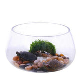 Round Clear Glass Fish Bowl Small Transparent Aquarium Tank for Desktop Fish Tank Landscaping and Turtle Habitat 0.00X0.00X0.00CM Transparent