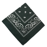 Darzheoy 22 inch Cotton Paisley Bandana Multi Colored Set Cowboy Bandana Head Scarf Double-sided for Men & Women Mint Green