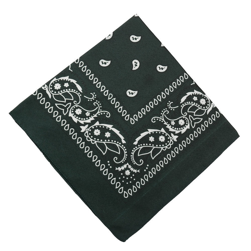 Darzheoy 22 inch Cotton Paisley Bandana Multi Colored Set Cowboy Bandana Head Scarf Double-sided for Men & Women Mint Green