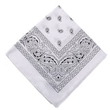 Darzheoy 22 inch Cotton Paisley Bandana Multi Colored Set Cowboy Bandana Head Scarf Double-sided for Men & Women White