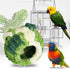 Darzheoy Bird Nest, Conure Breeding House Lovebird Bed for Conure, Lovebird, Canary, Finch, Coneshape Birds, Hamster, Small Pets C
