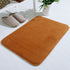 Lksixu Water Absorbent Shower Mat, Thick Bath Rugs for Bathroom Non Slip Ultra Soft Bathroom Rugs for Bathroom Floor & Tub(17 X 24in) 17" x 24" Brown