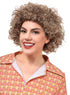 Frosted Blonde and Brown 1970s Adults Afro Costume Wig