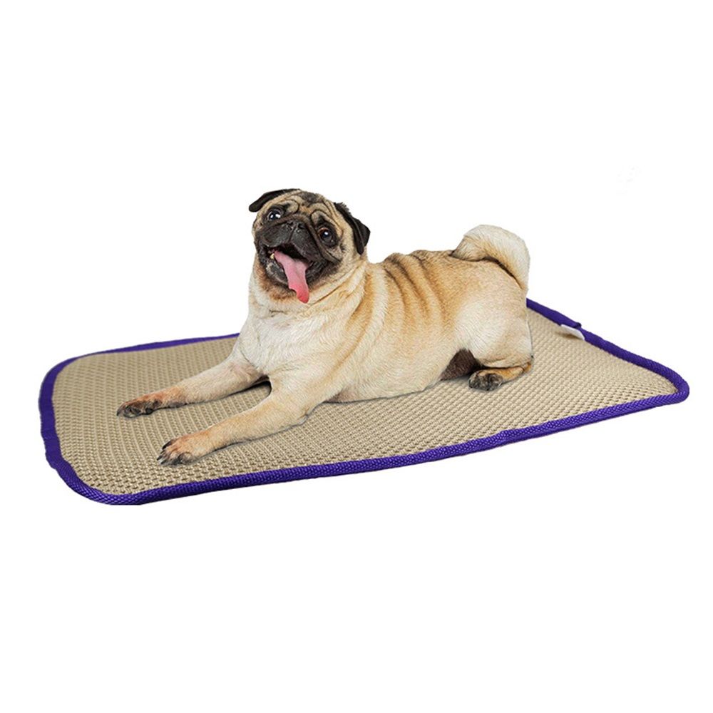 Pet Comfort Dog Pillow, Tiny 12" x 19" – Machine Dog Bed for House, Sofa, Crate & Travel – Soft, Comfy, Durable, Top Pet Bedding