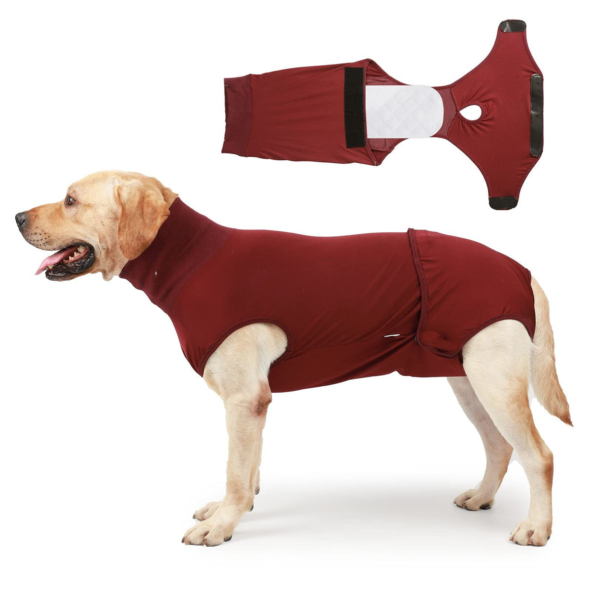 Full Body Dog Diaper with a Puppy Nappies Physiological Dog Surgery Recovery Suit for Male Female Dogs（L）