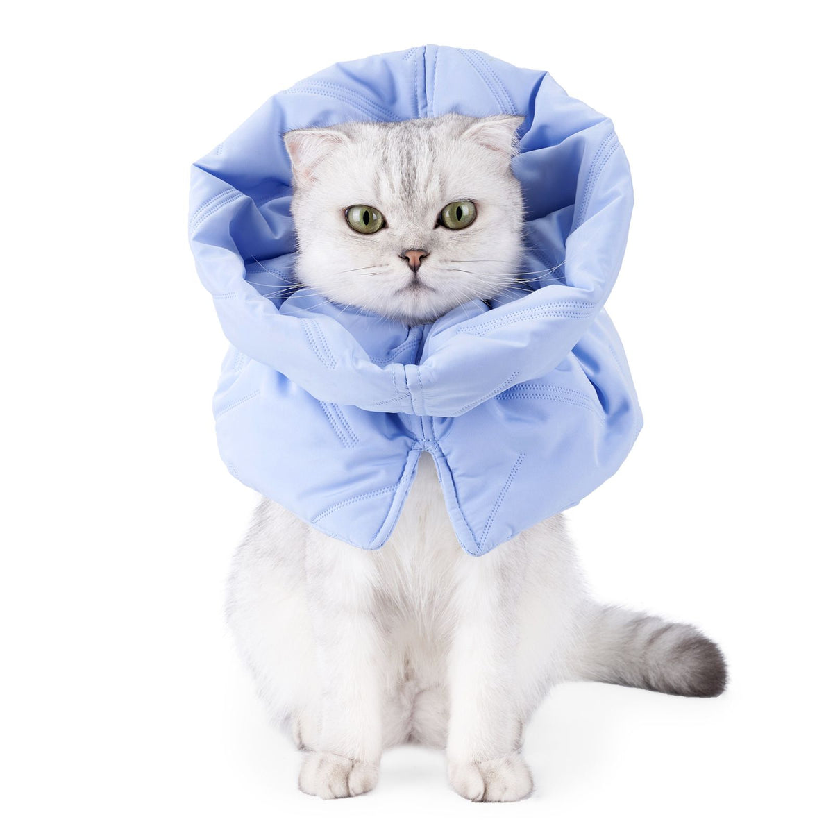 Cat Recovery Collar, Soft Adjustable Cat Cone Alternative, Lightweight Waterproof Fasteners Collars for Cats Kittens Puppies, After Post-Surgery, Surgery Stop Licking or Skin Protection（S）