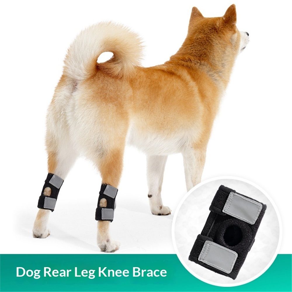 Dog Canine Braces for Rear Legs Supportive with Spring Inserts to Stabilize Dog Hind Legs, Help Dogs with Injuries, Sprains, Arthritis (M Pair)