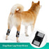 Dog Canine Braces for Rear Legs Supportive with Spring Inserts to Stabilize Dog Hind Legs, Help Dogs with Injuries, Sprains, Arthritis (M Pair)