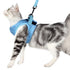 Cat Harness and Set, Cute Escape Proof Vest Harness for Girl&Boy Cat Walking, for Outdoor Kitten (blue，L)