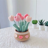 Crochet Kit for Beginners, Tulip Crochet Starter Kit Beginner for Complete Beginners Adults, Crocheting Knitting Kit
