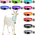 10 Pack Reflective Goat Collar with Crisp Bells,Adjustable Nylon Sheep Collar with Anti-Lost Grazing Copper Bell Quick-Release Buckle for Farm Livestock Goat Sheep Cow