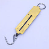 Pocket Spring Balance | max. 50 kg Fishing Scale with Hook Portable Mechanical Luggage Scale Weight Scale Auto-Off Function for Household, Shops, Luggage, Travel, Fishing, Outdoors