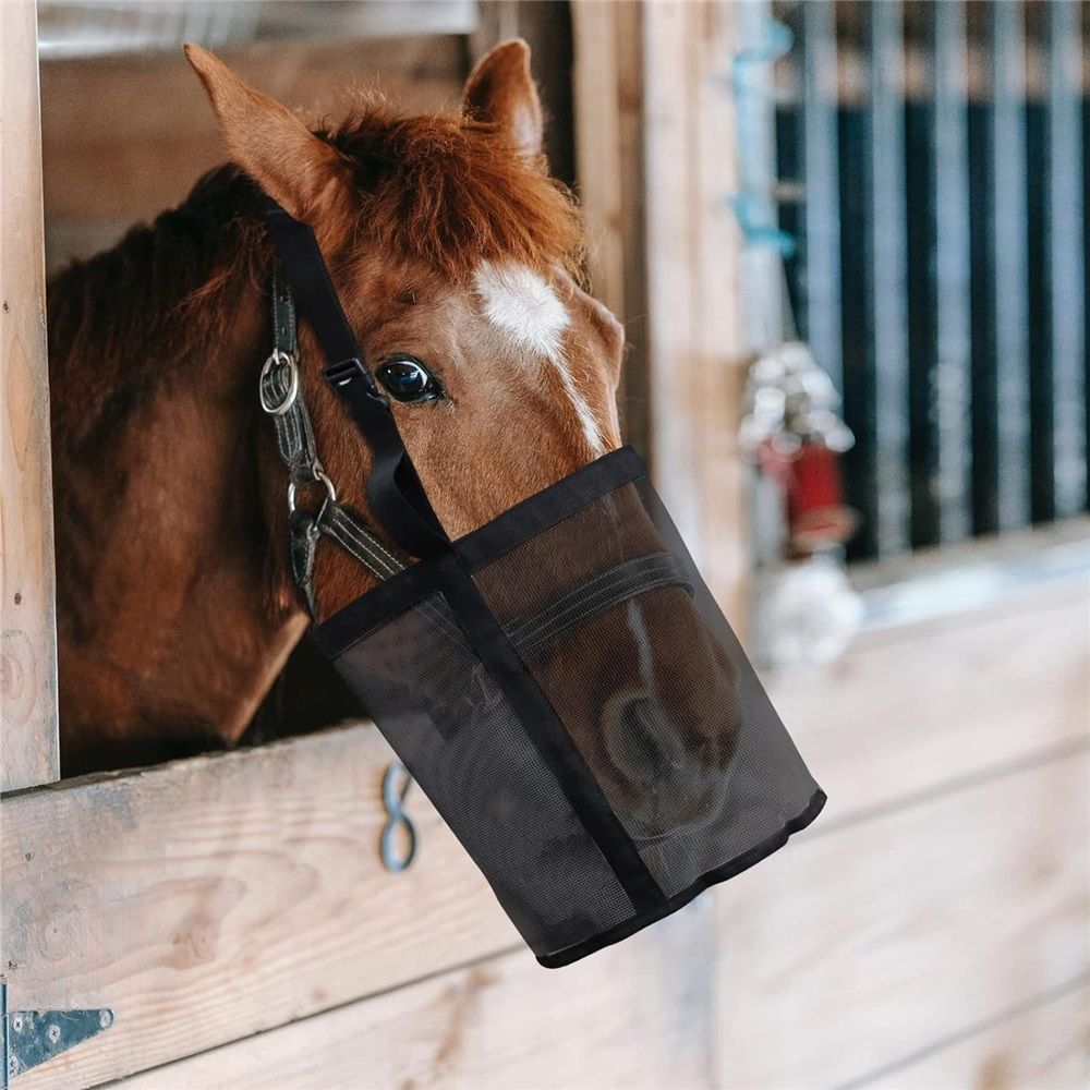 Horse Feed Bag Pack of 2, Feed Bags for Horses with Ventilation Mesh, Comfort Nose Pad Neck Pad, Adjustable Strap, Spill Proof Design for Independent Feeding Grain (M)