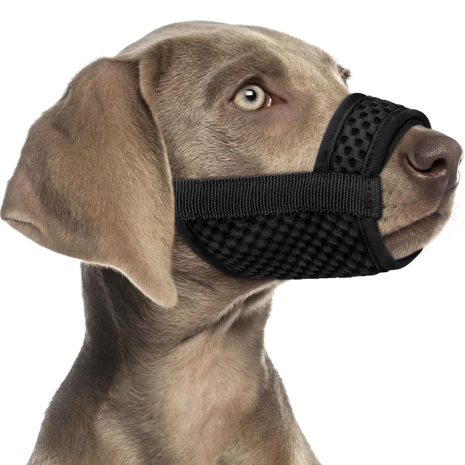 Pet Food