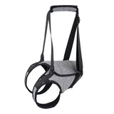 Dog Lift Harness - Adjustable Support for Medium Large Dogs, Comfortable Design with Padded Back Legs for Elderly, Injured, Arthritic, Senior, Disabled Dogs（M）