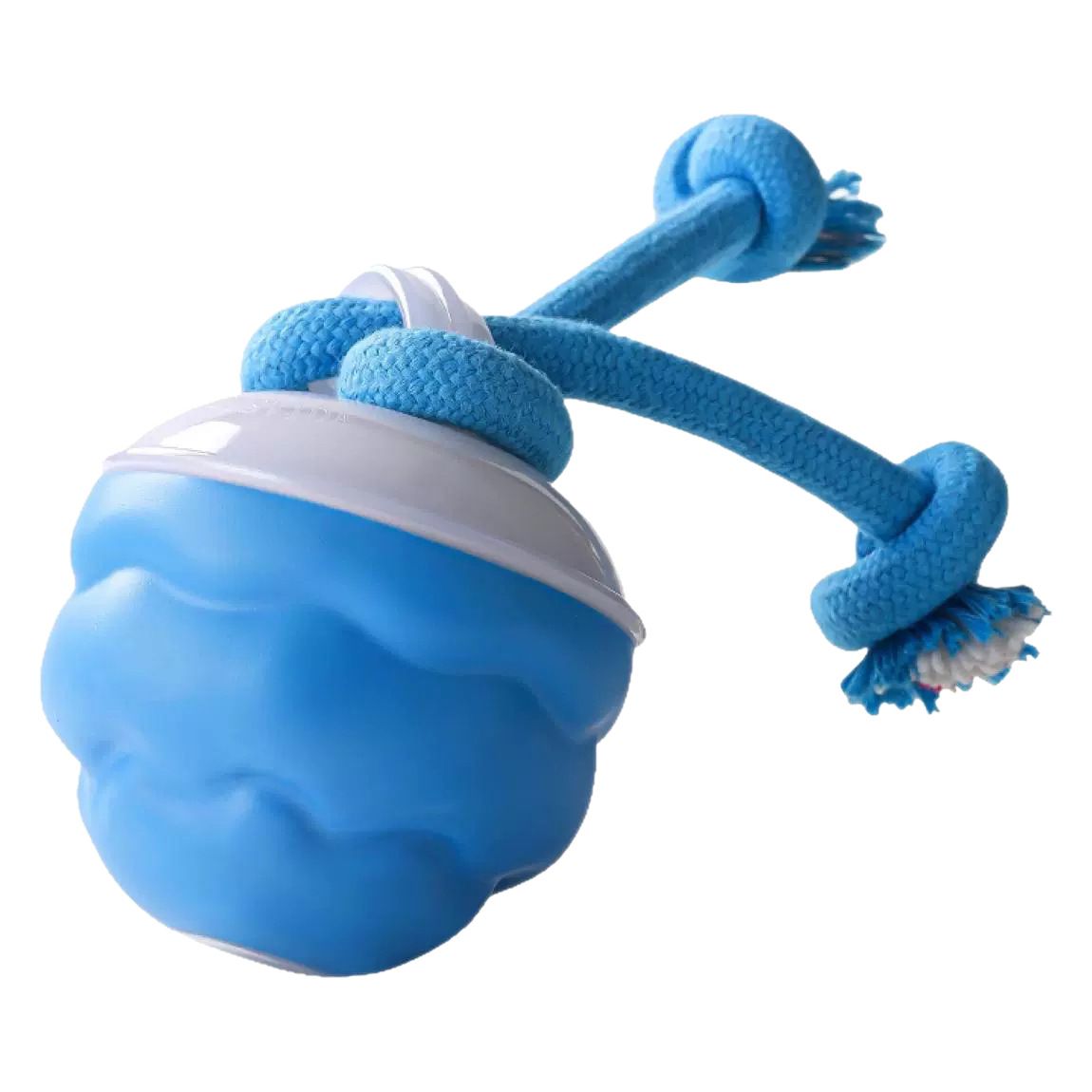 Interactive Dog Toys with Motion Activated, Squeaky Dog Toy Active Rolling Ball for Puppy and Medium Dogs, USB Rechargeable