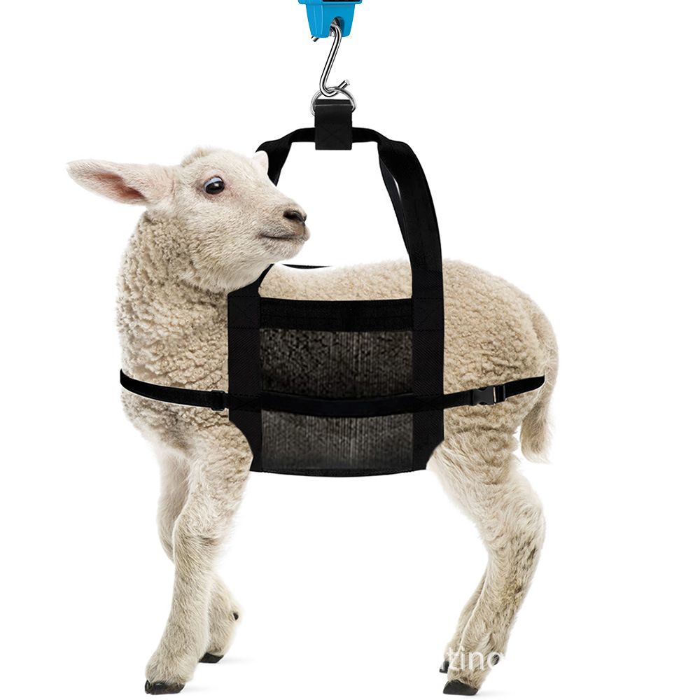 Calf Sling for Weighing Animals - Adjustable Straps - Animal Carrier Sling - Baby Scales bag for Calves, Lambs, Goats, Alpacas, Dogs, Pigs(oniy Sling)