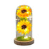 Sunflower Gift for Women,Sun Flowers Home Decor,Preserved Sunflower Bouquet in Glass Dome,Birthday Gifts for Her Mom