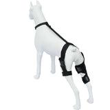 Dog Knee Brace Dog Brace Hind Leg Dog Knee Brace with Extra Collar and Support Treats Kneecap Dislocation Arthritis（S）