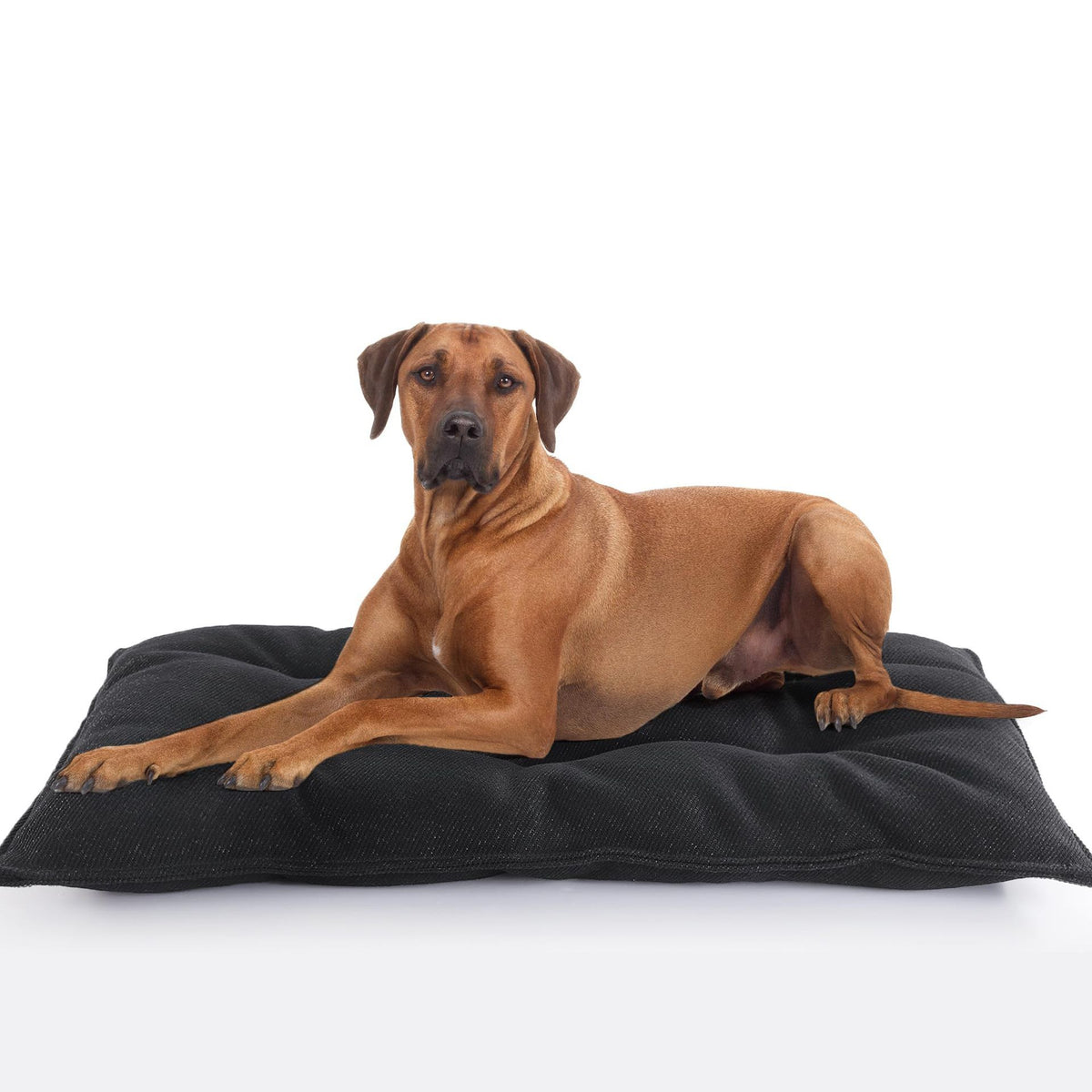 Chew Proof Indestructible Dog Beds for Aggressive Chewers,Durable Dog Crate Pad,Washable Tough Pet Mats for Kennel,Black,S 43*58cm