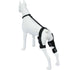 Dog Knee Brace Dog Brace Hind Leg Dog Knee Brace with Extra Collar and Support Treats Kneecap Dislocation Arthritis（S）
