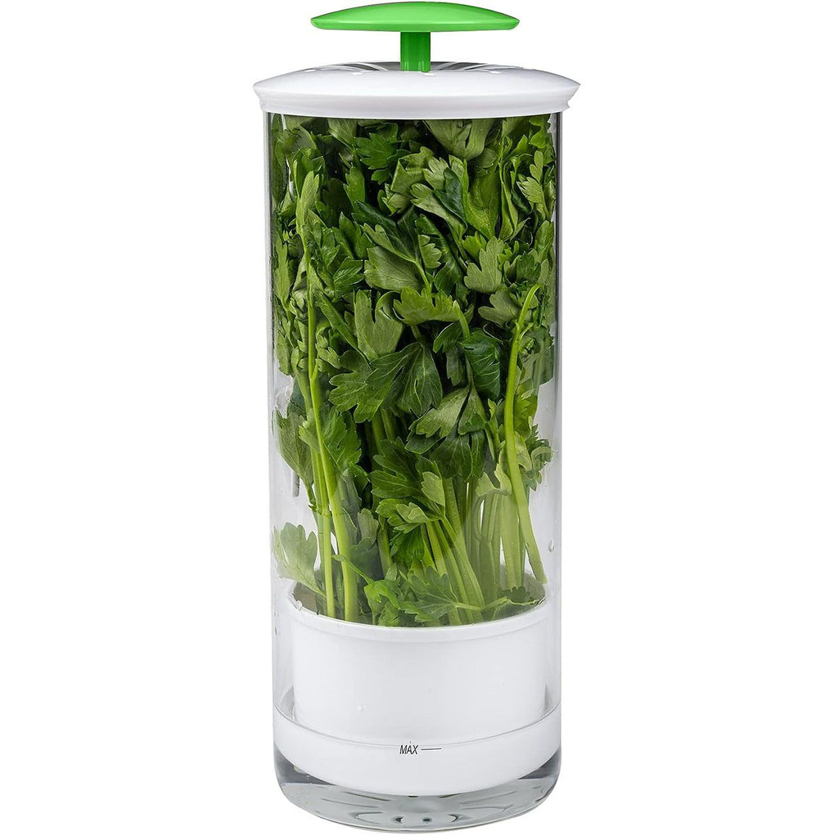 Herb Keeper and Herb Saver – Glass Storage Container for Cilantro, Mint, Parsley, Asparagus, Keeps Greens Fresh for 2-3 Weeks（green）