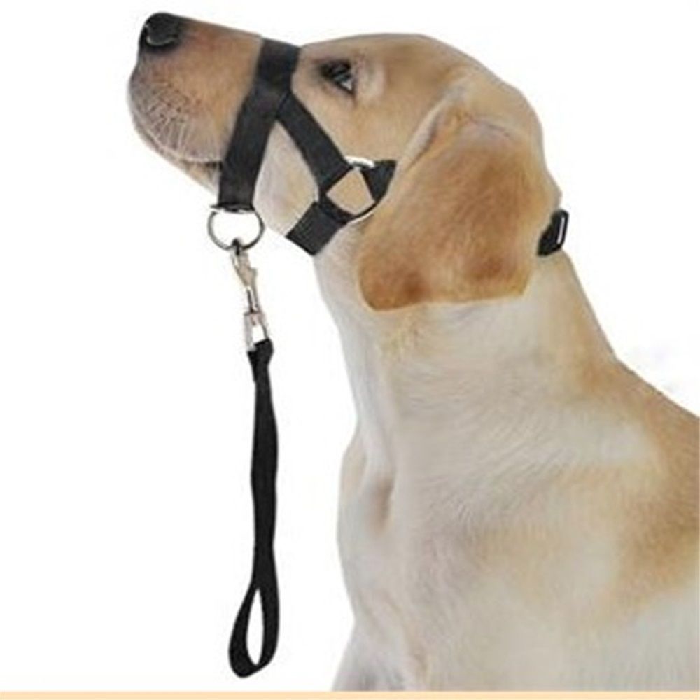No-Pull Dog Headcollar for Large Dogs (Agressive/Reactive Dogs; Instant Stop Pulling; Gentle Training Collar for Dogs; Comfortable, Safe, and Effective Walking/Training Solution (Black, S)