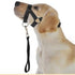 No-Pull Dog Headcollar for Large Dogs (Agressive/Reactive Dogs; Instant Stop Pulling; Gentle Training Collar for Dogs; Comfortable, Safe, and Effective Walking/Training Solution (Black, S)