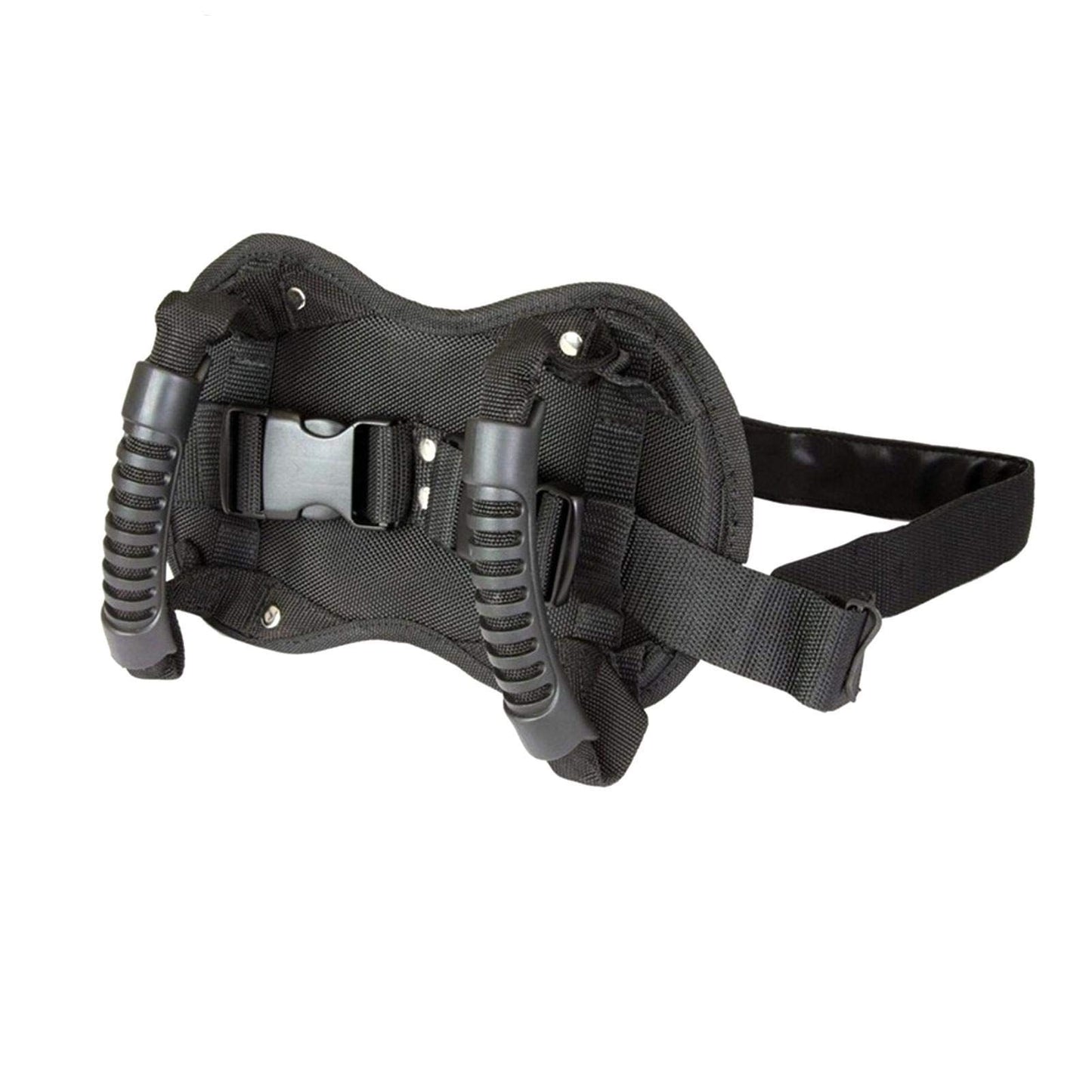 Motorcycle Backseat Handle, Adjustable Reinforce Buckle Bandage, Waist Belt Black Backseat Handle, Passenger Seat Grip Strap Motorcycle Accessory, for Children Motorcycle Passenger