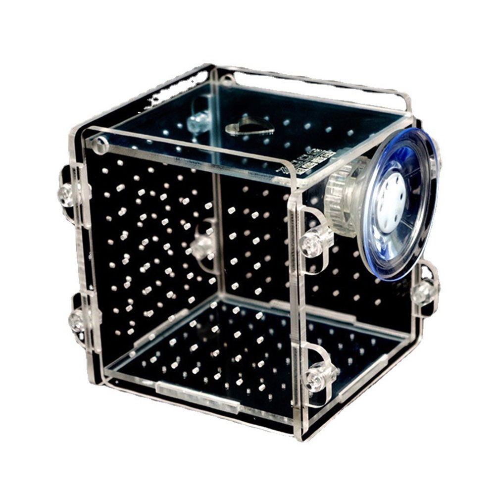 Acrylic Fish breeding Box, Acrylic Fish Isolation Box, Fish Separator for Aquarium, Hatchery Incubator with Suction Cups for Small Baby Fishes Shrimp Clownfish Guppy