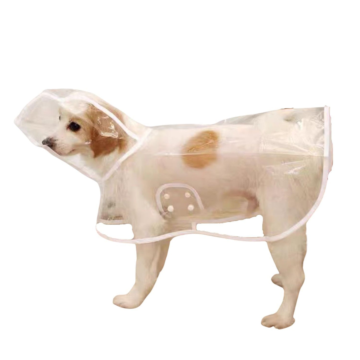 Pet Raincoat,Small Dog Waterproof Puppy Raincoat Coat Transparent Pet Dog Rainwear Clothes for Small Dogs Cats (S,White)