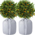 2 Pack Plant Winter Protection Pot - 27.6" x 25.6" Flower Pot Protection Bag - Anti-Frost Winter Pot Plant Cover with Drawstring and Zipper for Winter Outdoor Fruit Trees Potted Plants Shrubs