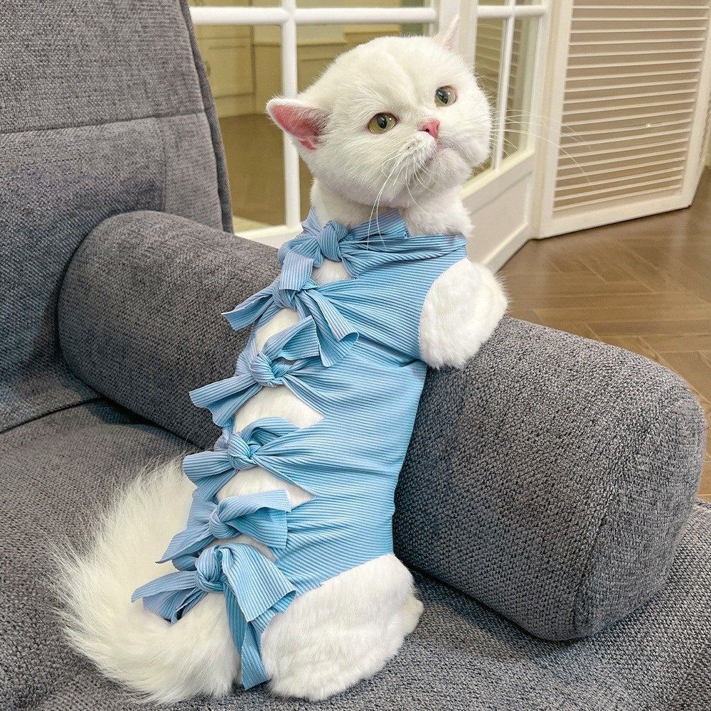 Cat Recovery Suit Anti Licking, Cats Surgery Recovery Suit Female Kitten Onesie After Spay, Cone of Shame Alternative, Post-Surgery Kitten Surgical Clothes for Abdominal Wounds (Blue,M)